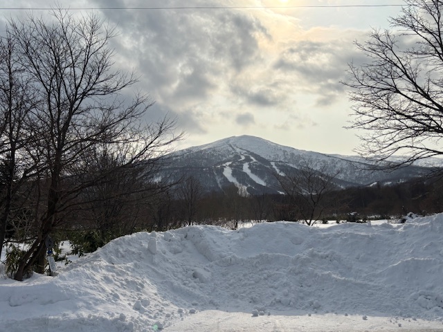 2026/2/5 岩内町 ホーストラスト北海道
