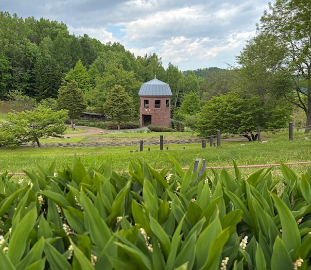 2025/6/8 札幌市 滝野すずらん公園