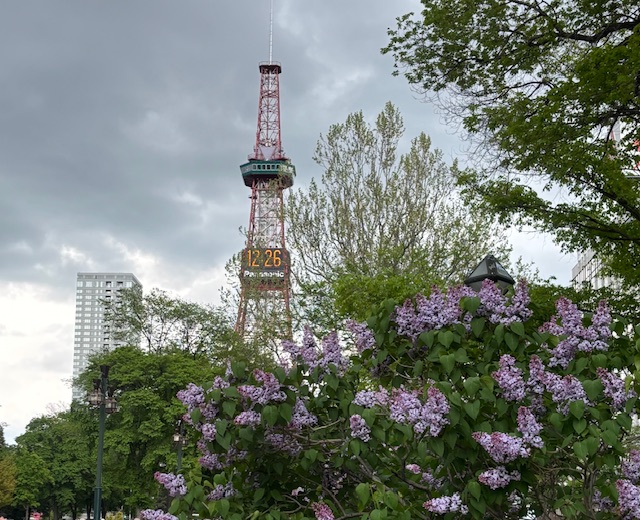 2025/5/18 札幌市 大通公園