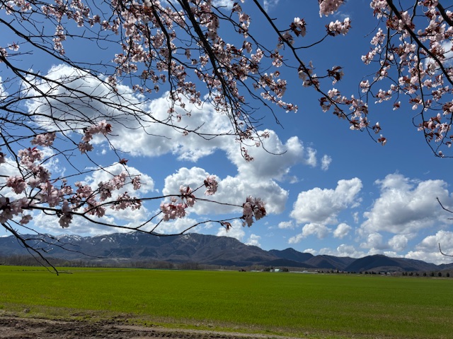 2025/5/5 浦臼町 いこいの森公園